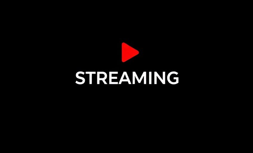 Netflix - 日韩伦理电影合作伙伴